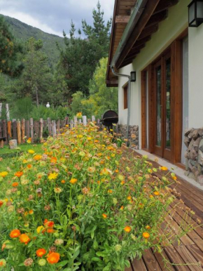 Casa Lali